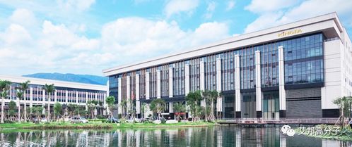 國內(nèi)改性尼龍企業(yè)30強 新材料科技領(lǐng)域的技術(shù)創(chuàng)新與市場格局
